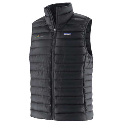 Google GBIKE - Patagonia Men's Down Sweater Vest